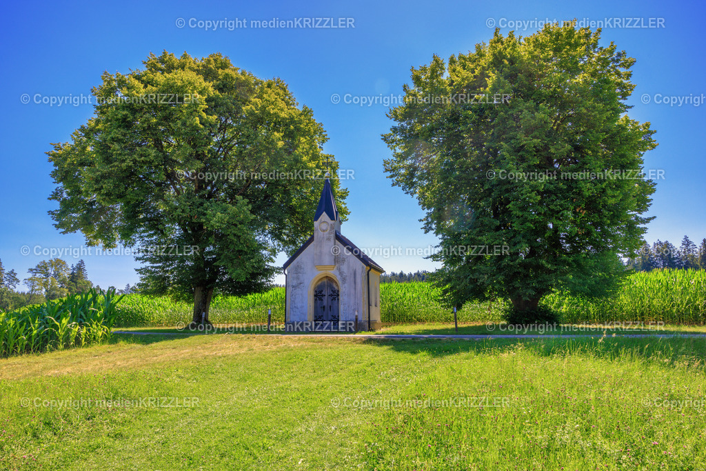 _J3A8127 | medienkrizzler - Realisiert mit Pictrs.com