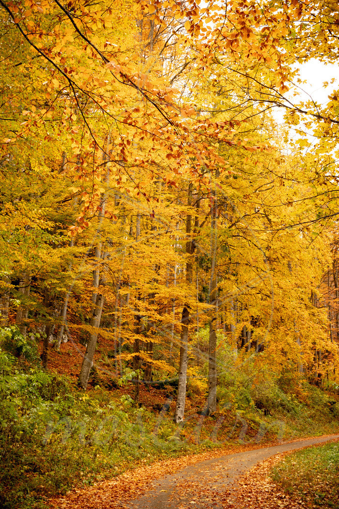 Herbst Gaming | Ihre Fotografin im Lungau, ihre Fotografin im Mostviertel, Wandbilder Onlineshop, Imagefotos für Ihr Unternehmen,  - Realisiert mit Pictrs.com