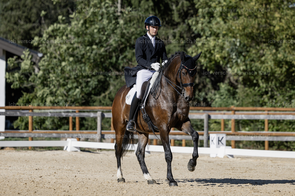 FHC2026_P09_242_18582 | Fichtenhof Classics 2026 – Grand Prix de Dressage - VOLTAIRE Design Preis, Reitanlage Fichtenhof, Sch ftlarn
