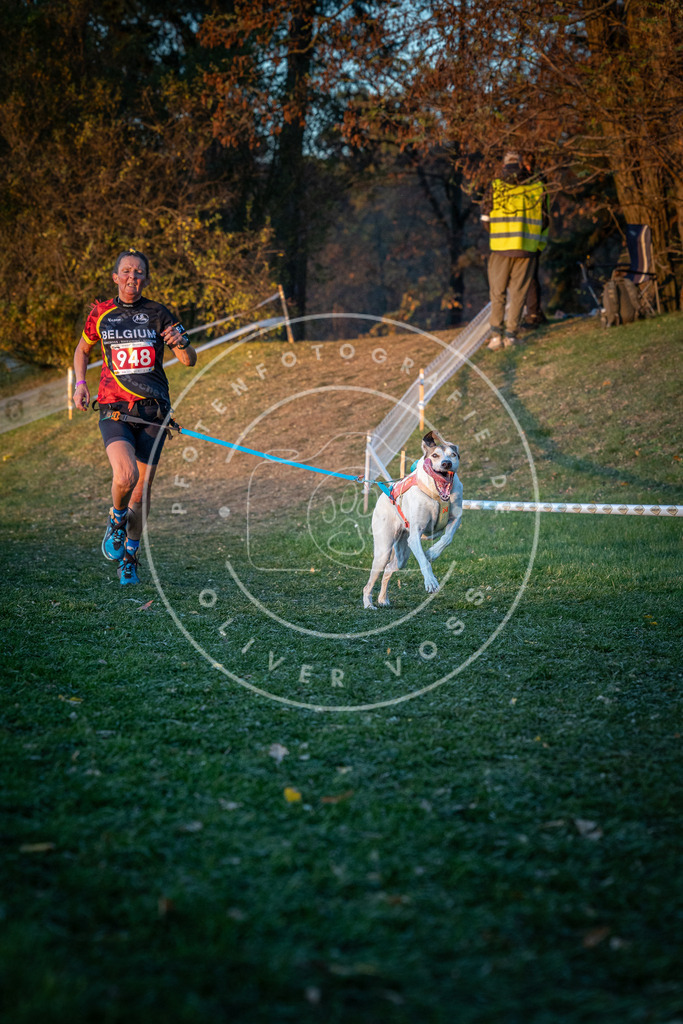 CaniXpix_0L8A2015 | Hundefotografie, Tierfotograf, Pfotenfotografie, Fotoshooting Hund, Hunde Portrait, Hundesport, Hundeportraits, Heideshooting, Hunde, Sportfotograf, Hundefotograf, Turnierhundsport, THS,  - Realisiert mit Pictrs.com