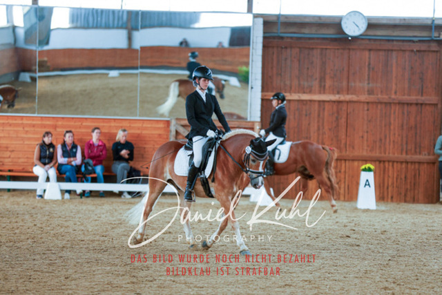 _62_5791 | Turniersportfotografie; Pferdefotografie; Dressurfotografie