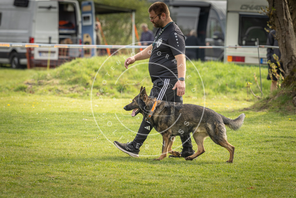 Pfotenfotografie_DV3A5018 | Hundefotografie, Tierfotograf, Pfotenfotografie, Fotoshooting Hund, Hunde Portrait, Hundesport, Hundeportraits, Heideshooting, Hunde, Sportfotograf, Hundefotograf, Turnierhundsport, THS,  - Realisiert mit Pictrs.com