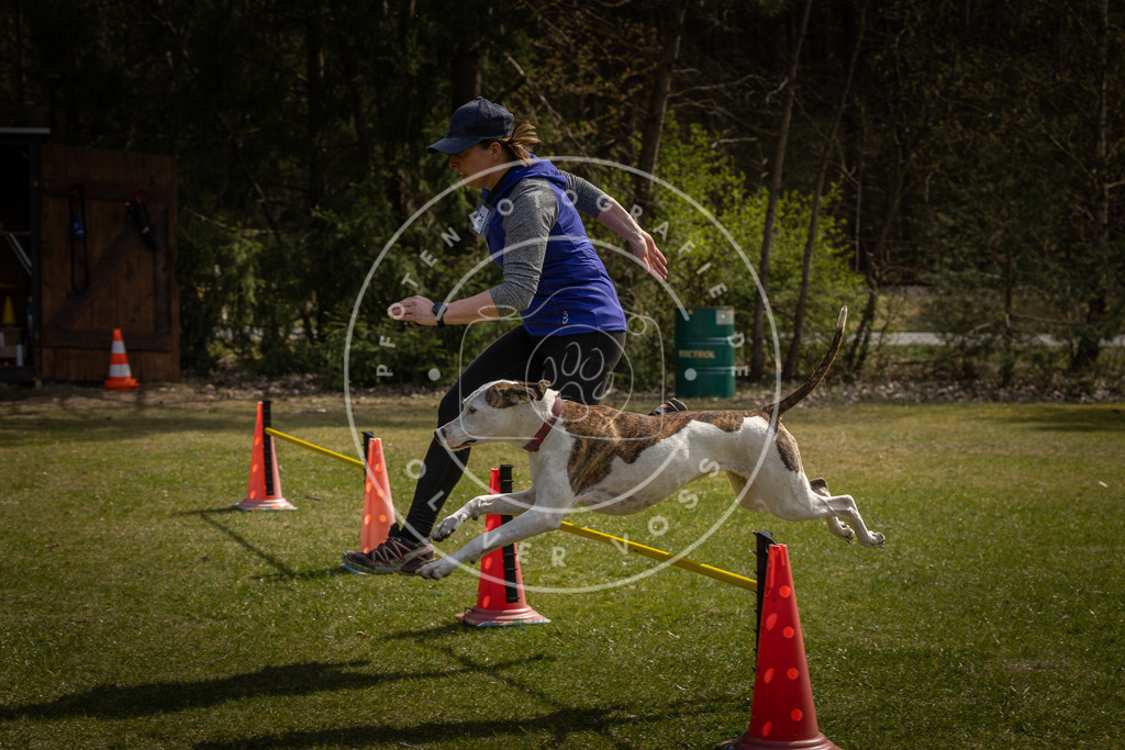 Pfotenfotografie_DV3A3788 | Hundefotografie, Tierfotograf, Pfotenfotografie, Fotoshooting Hund, Hunde Portrait, Hundesport, Hundeportraits, Heideshooting, Hunde, Sportfotograf, Hundefotograf, Turnierhundsport, THS,  - Realisiert mit Pictrs.com