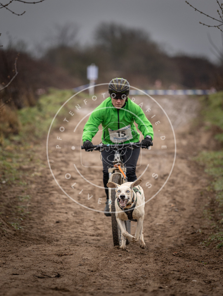 DV3A8968 | Hundefotografie, Tierfotograf, Pfotenfotografie, Fotoshooting Hund, Hunde Portrait, Hundesport, Hundeportraits, Heideshooting, Hunde, Sportfotograf, Hundefotograf, Turnierhundsport, THS,  - Realisiert mit Pictrs.com