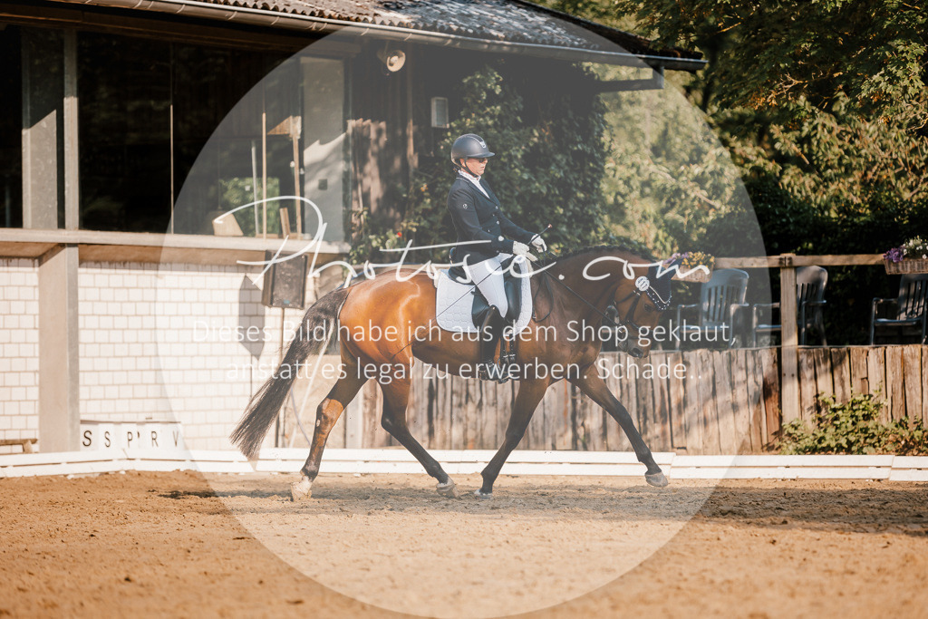 3I6A8641 | Stimmungsvolle Portraits und Reitsportfotografie im Ruhrgebiet und im Münsterland.

Pferdefotografie, Hundefotografie, Tierfotografie, Reportagen, Portraits von Tier und Mensch, Turnierfotografie in Bochum, Recklinghausen, Marl, Haltern am See, Dülmen.. - Realisiert mit Pictrs.com