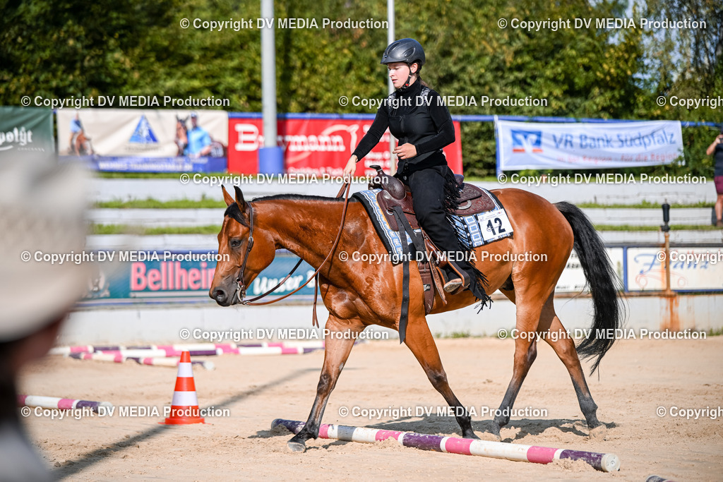 ZS2_3477 | dv-media-shop - Realisiert mit Pictrs.com