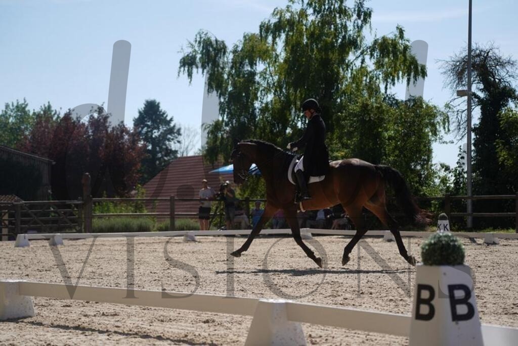 tgbhsonntag (1682) | d.tail Visions - Shop - Realisiert mit Pictrs.com