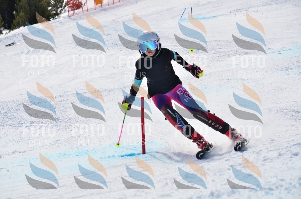 C9973 | holidayphoto