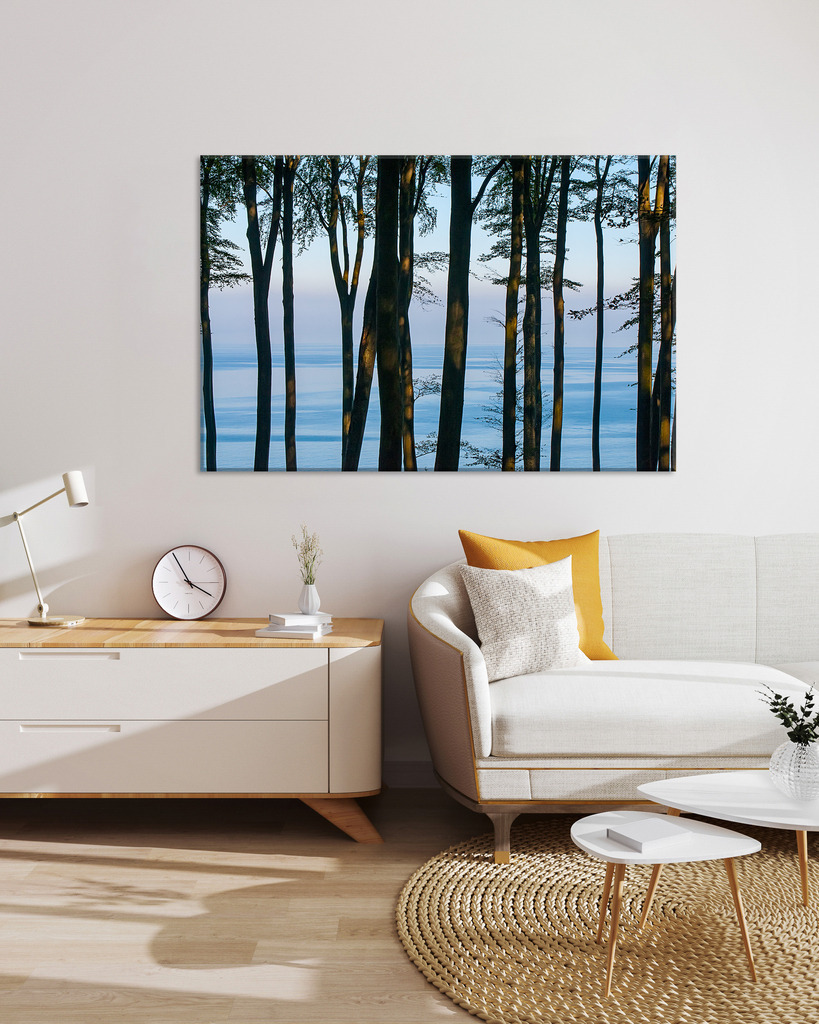 Buchenwald bei Sassnitz, Rügen  für Ihr Wohnzimmer | EIn ruihges Waldbild für Ihren Wohnbereich. Das BIld eigbnet sich auch für eine Verwendung im Schlafzimmer. Sie finden dieses Motiv in der Galerie Farben und Formen - Bäume und Grün (https://shop.soulimages.eu/img/a6v0u5). - Realisiert mit Pictrs.com