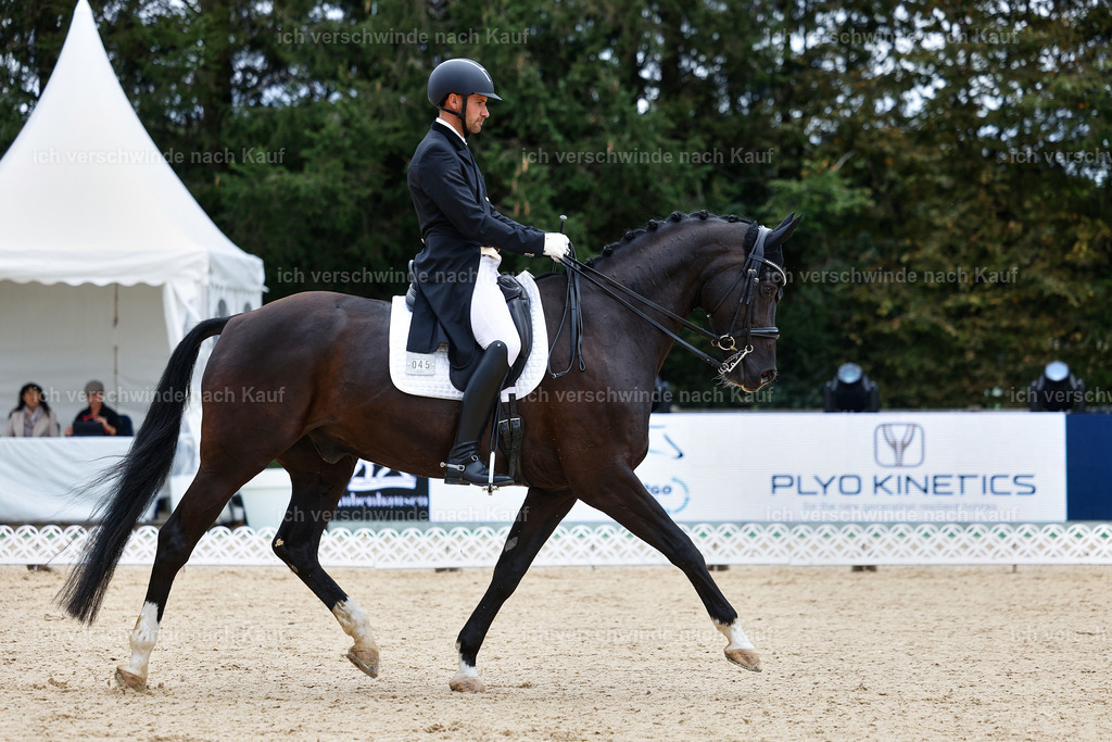 8_1-045-Klasse S_  -StoibPH-3802 | working equitationturnier fotograf videograf stoibphotography marixx film working equitation deutschland reitsport turnierfotografie eventfotografie equestrian events