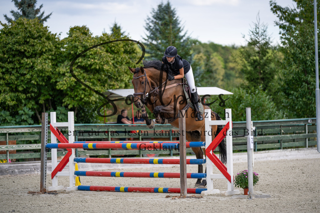 A7V07754 | Turnier/Reitfotograf