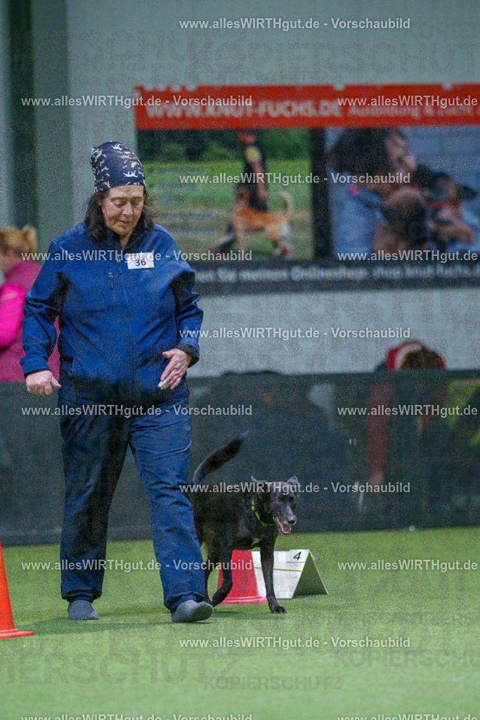 7R505971 | Professionelle Tierfotografie in Mönchengladbach von Daniel Wirth (allesWIRTHgut). Liebevolle & natürliche Bilder von Hunden & Katzen für unvergessliche Erinnerungen.