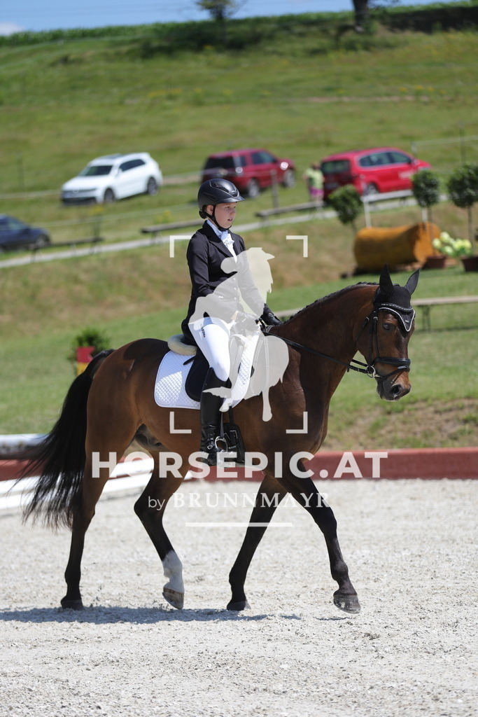 0P6A0865 | Willkommen bei Brunnmayr - Design & Fotografie – Ihrem Spezialisten für Reitturniere und Pferdeveranstaltungen in Oberösterreich, Salzburg und Bayern! Seit über 17 Jahren sind wir leidenschaftlich dabei.