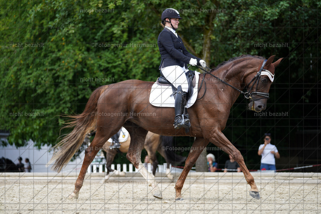 20230826-FAH05556 | Forstinning, 2023, Dressurturnier, Turniersportbilder, Turnierfotografen Bayern, Fotoagentur Herrmann, Reitsportfotografie, Turnierbilder