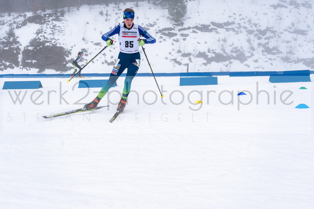 DSC Arber | Bayerischer Wald am 15. und 16. Januar 2022