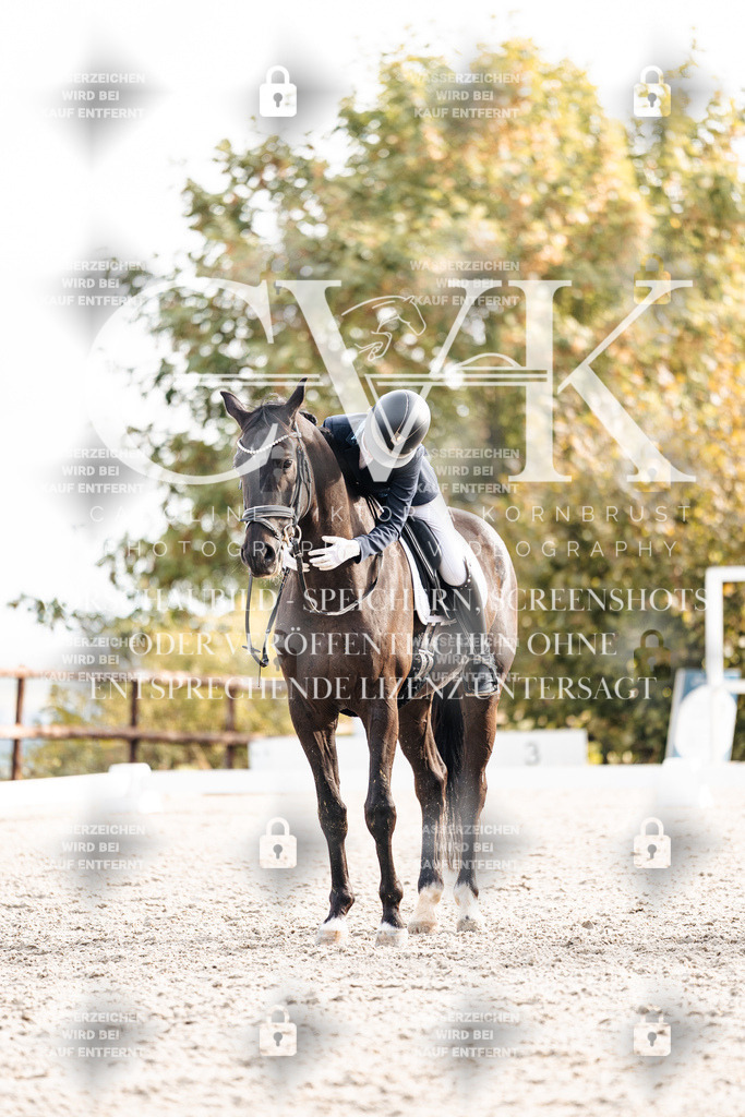 CK901168 | Turnierfotografie Pferdefotografie Trier Rheinland-Pfalz Pferdesport Reitsport Tierfotografie Sportfotografie Pferdevideo Pferdevideografie Equestrianvideography equestrianphotography  - Realisiert mit Pictrs.com