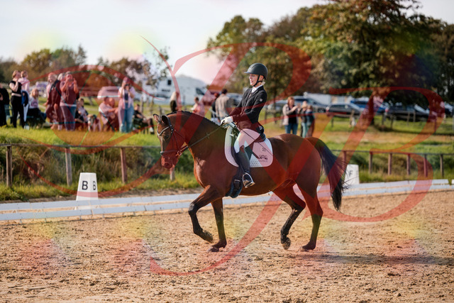2026_10_03_Siefer-Hof_131001_Z63_72029458 | Professionelle Reitsport-, Turnier- und Eventfotografie von Robert Broda. Galerien mit ausgewählten und bearbeiteten Bildern direkt online ansehen und bestellen.