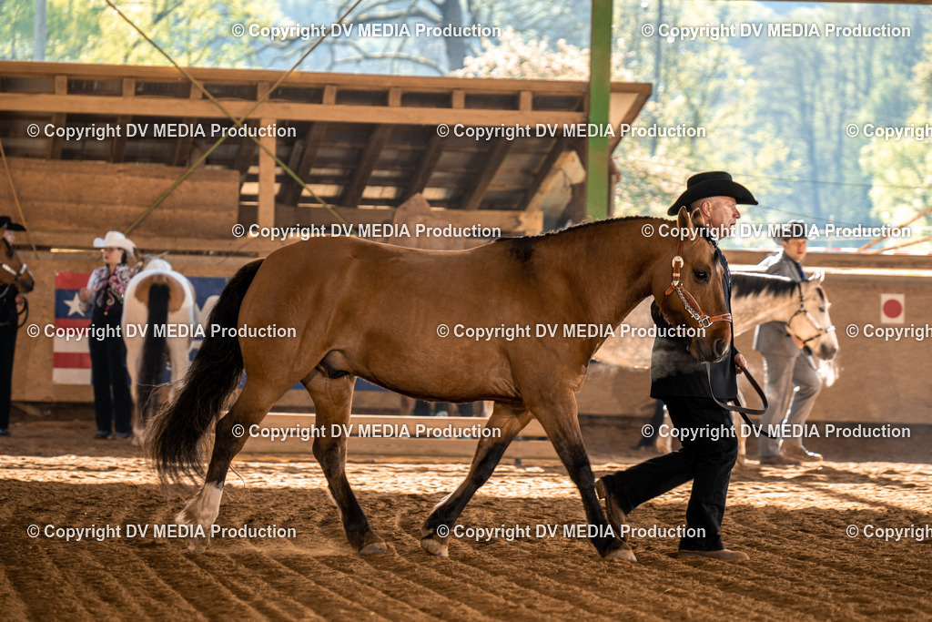 Balingen Tag 1-20 | dv-media-shop - Realisiert mit Pictrs.com