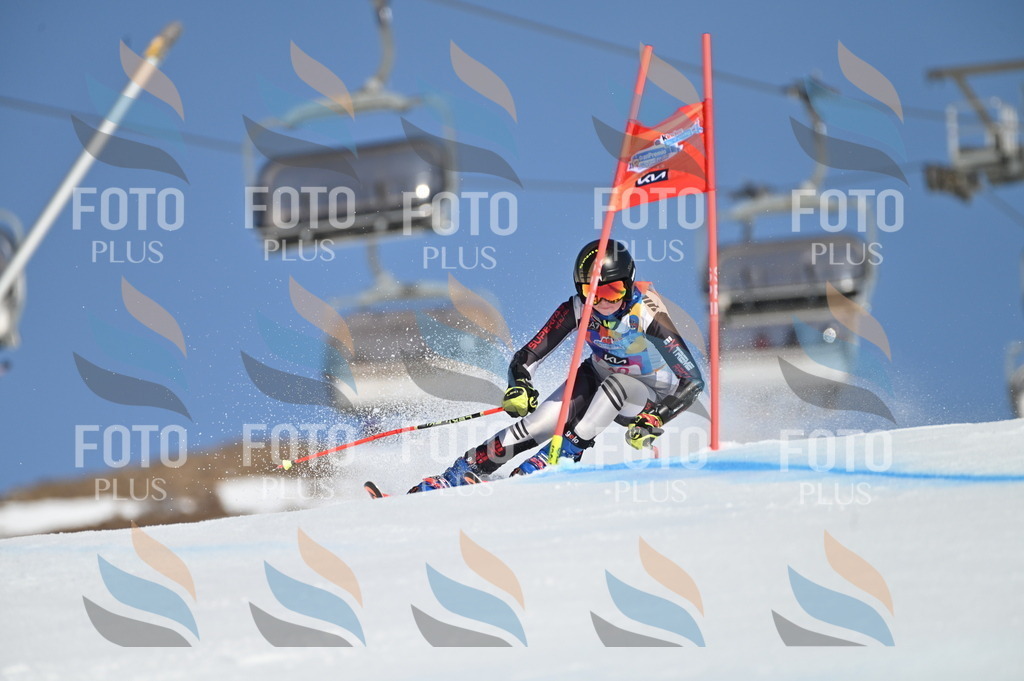 BGV_8380 | holidayphoto