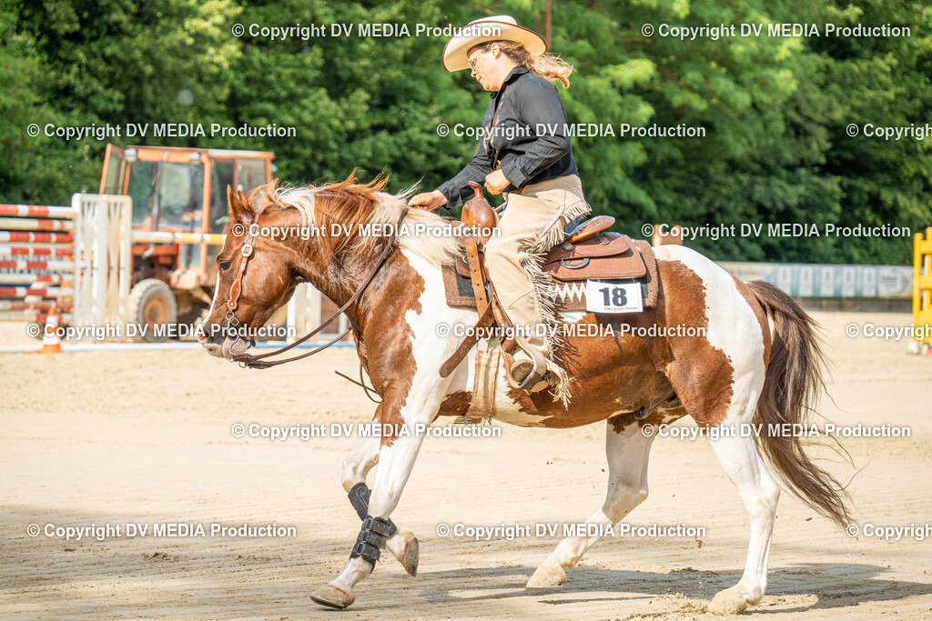 Zeiskam Tag 2-2067 | dv-media-shop - Realisiert mit Pictrs.com