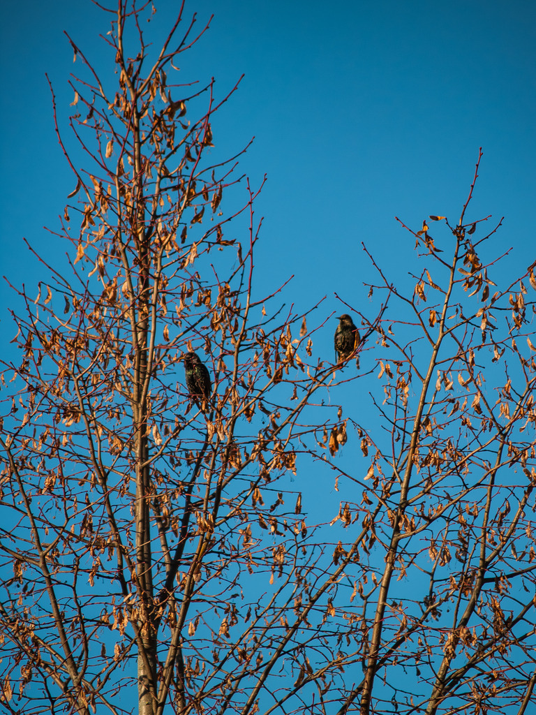 PSX_20230215_233626 | OLYMPUS DIGITAL CAMERA - Realisiert mit Pictrs.com