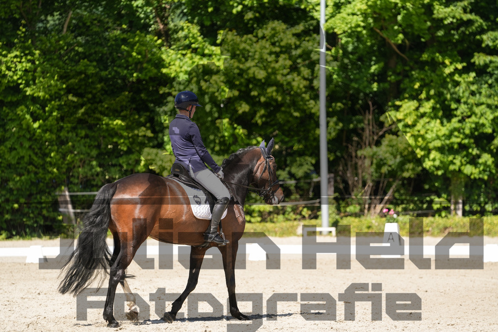 DSC00420 | Julian Held Fotografie - Realisiert mit Pictrs.com