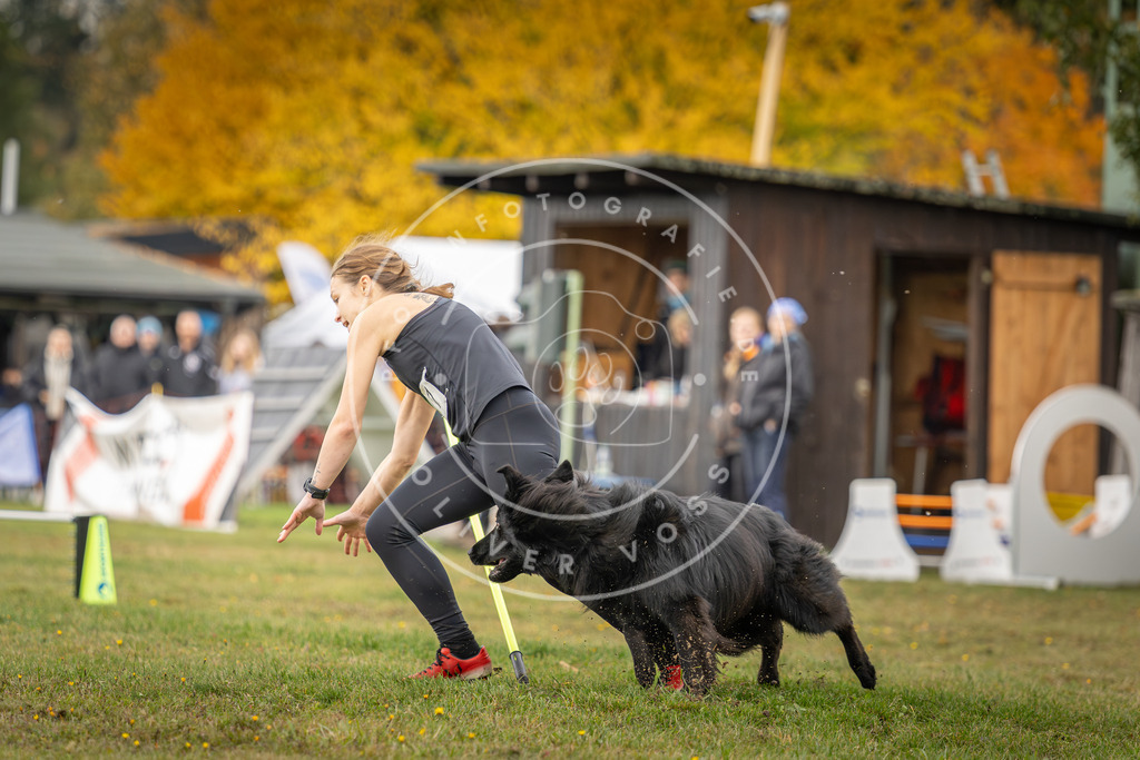 Pfotenfotografie_DV3A2971 | Hundefotografie, Tierfotograf, Pfotenfotografie, Fotoshooting Hund, Hunde Portrait, Hundesport, Hundeportraits, Heideshooting, Hunde, Sportfotograf, Hundefotograf, Turnierhundsport, THS,  - Realisiert mit Pictrs.com