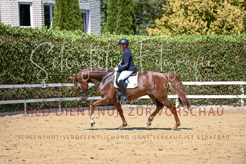 Schugtsche-Aluta25-49.Dressurpferdeprf.A-400 | Schugtsche Fotografie - Realisiert mit Pictrs.com