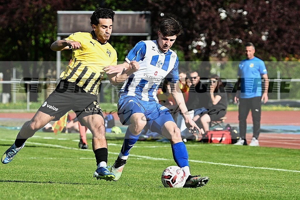 aaaaDSC_2586 | Kaufen Sie Sportbilder im Onlineshop von Andy Scherrer Sportfotografie. Faszinierende Bilder von Sportevents aus der ganzen Schweiz. Fussball, Frauenfussball, Unihockey, Handball, Schwingen und weiteren Sportarten. - Realisiert mit Pictrs.com