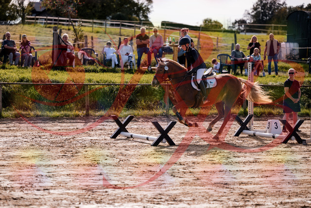 2026_10_03_Siefer-Hof_144705_Z81_23704447 | Professionelle Reitsport-, Turnier- und Eventfotografie von Robert Broda. Galerien mit ausgewählten und bearbeiteten Bildern direkt online ansehen und bestellen.