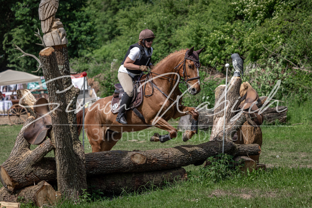 20260523-_3LI9167 | Tierfotografie Pferde, Hunde, Katzen, Haustiere.
Turnierfotografie Reitturniere, Reiten, Springreiten, Dressur in Hanau, dem Main-Kinzig-Kreis und dem Rhein-Main- Gebiet um Frankfurt