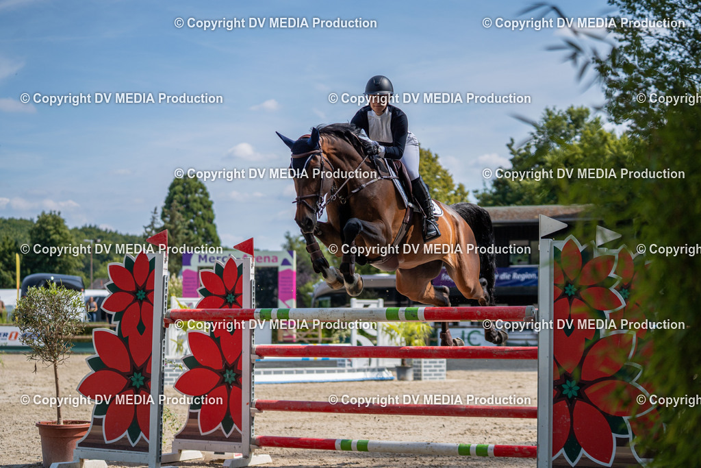 Hessische Tag 1-1624 | dv-media-shop - Realisiert mit Pictrs.com