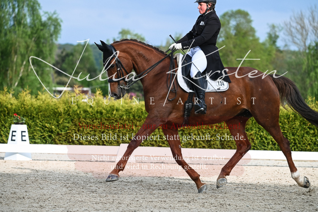 20230513_JK-Röhrsdorf-13-080 | Pferde- und Turnierfotografie in Westsachsen. Pferdeportraits, Auftragszeichnungen und intuitive Kunst.