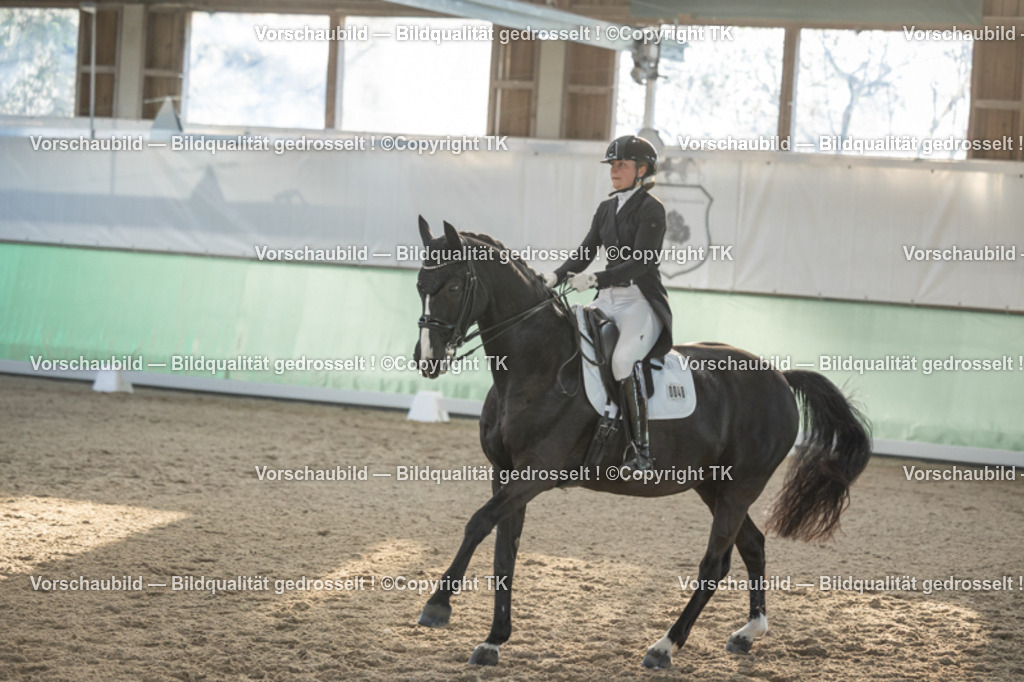 _D5A0792 | Emotionale Pferde- & People-Fotografie rund um Heidelberg, Leimen & Umgebung. Natürliche Fotos von Pferd, Mensch & Familie. Jetzt Termin sichern!