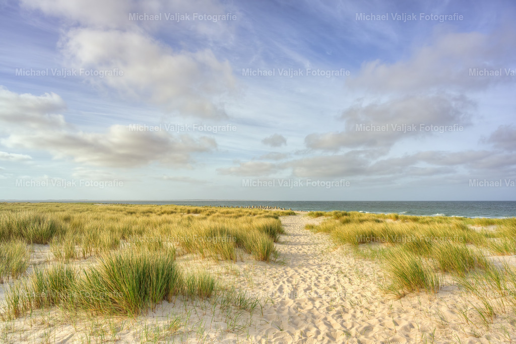 Weststrand in Hörnum | Weg durch die Dünen zu den Tetrapoden am Weststrand in Hörnum auf Sylt an einem schönen Vormittag im Sommer. - Realisiert mit Pictrs.com