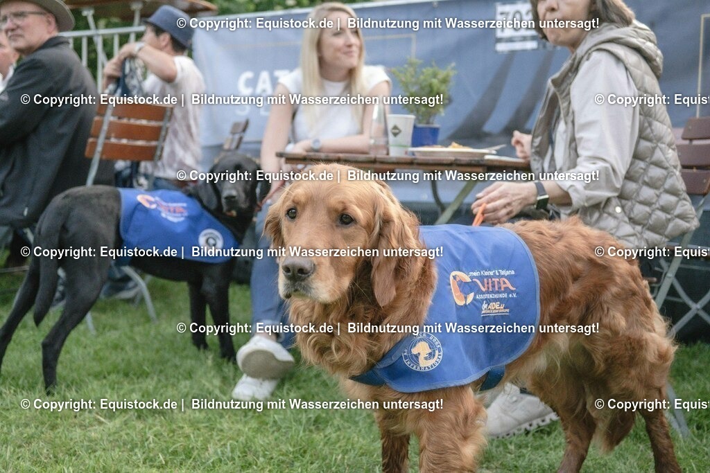 ZFC_4172 | equistock