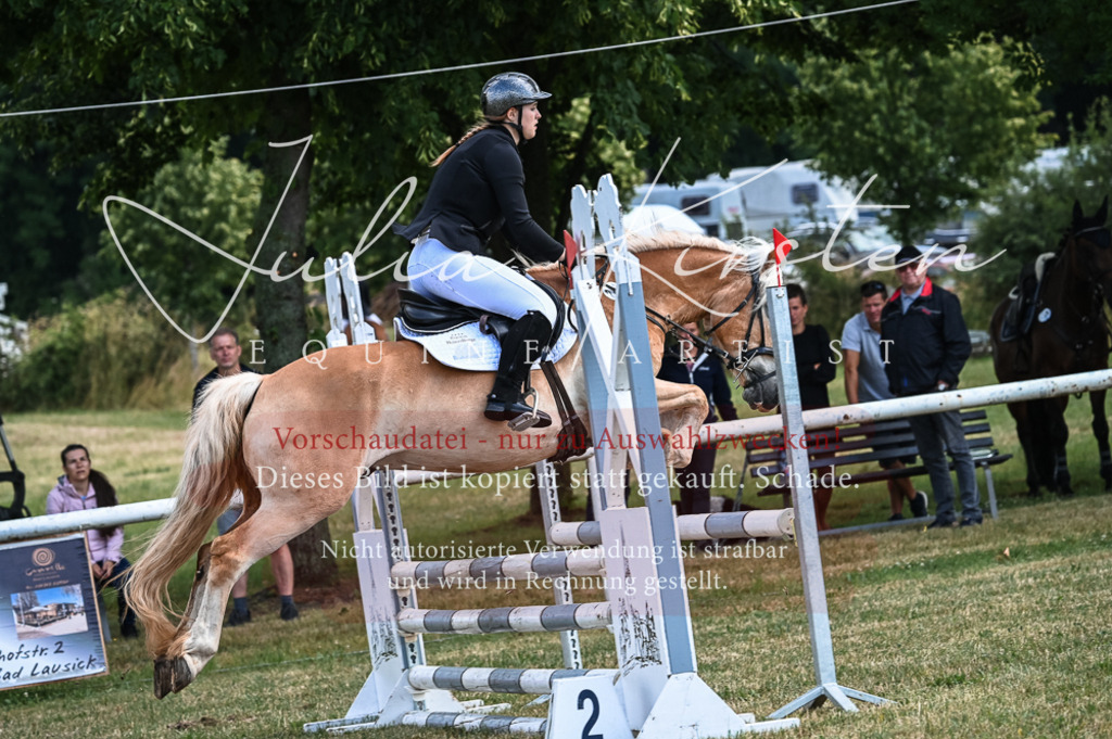 DSC_8100 | Pferde- und Turnierfotografie in Westsachsen. Pferdeportraits, Auftragszeichnungen und intuitive Kunst.