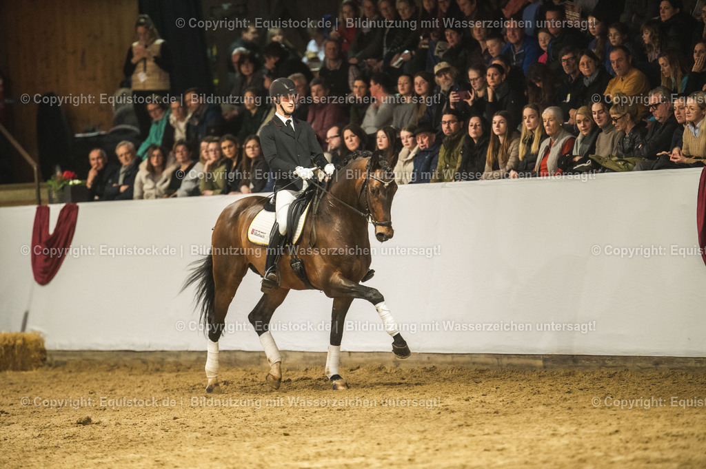 20240302_Hengstvorstellung_Marbach_TOMsPiC_1266-2 | equistock