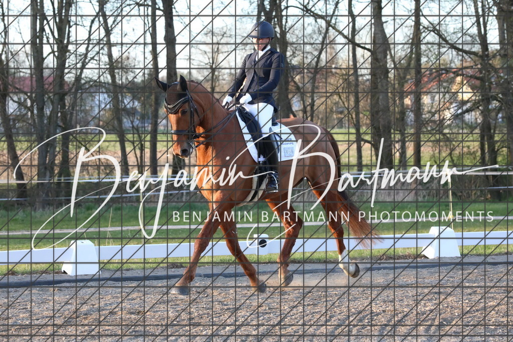 AZ2A5856 | Benjamin Bartmann Photomoments