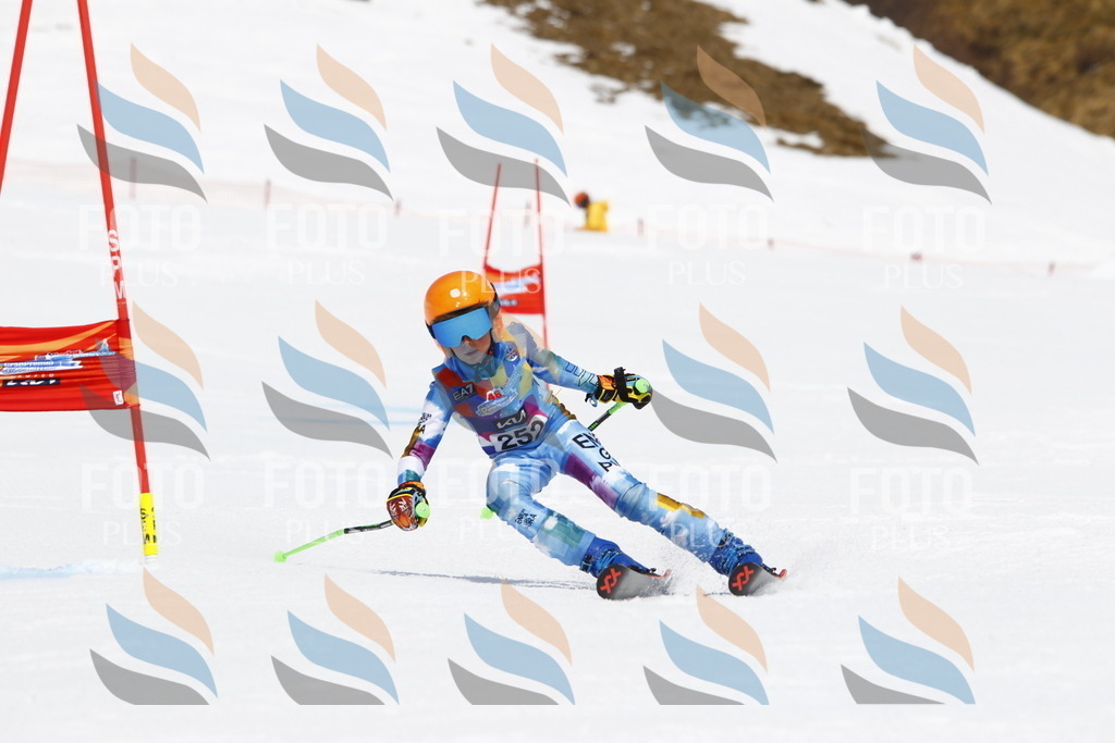 _U3G6343 | holidayphoto