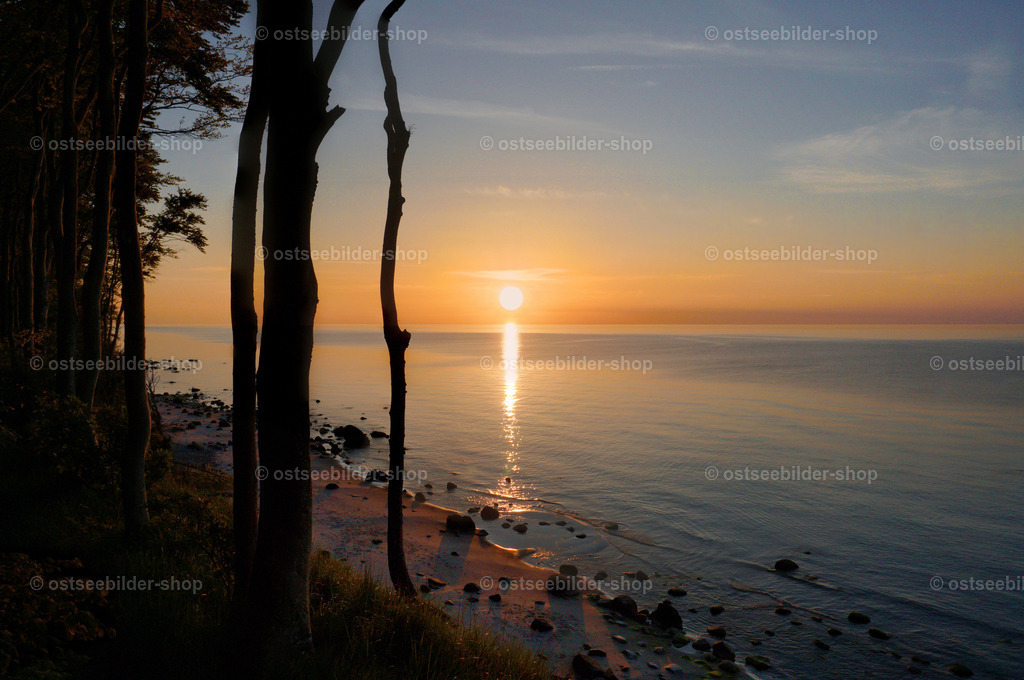 Steiluferblick in den Sonnenuntergang  | Immer wieder faszinieren die Sonnenuntergänge an der Ostsee, wenn man zwischen den Bäumen eines Uferwaldes auf der Steilküste steht. 