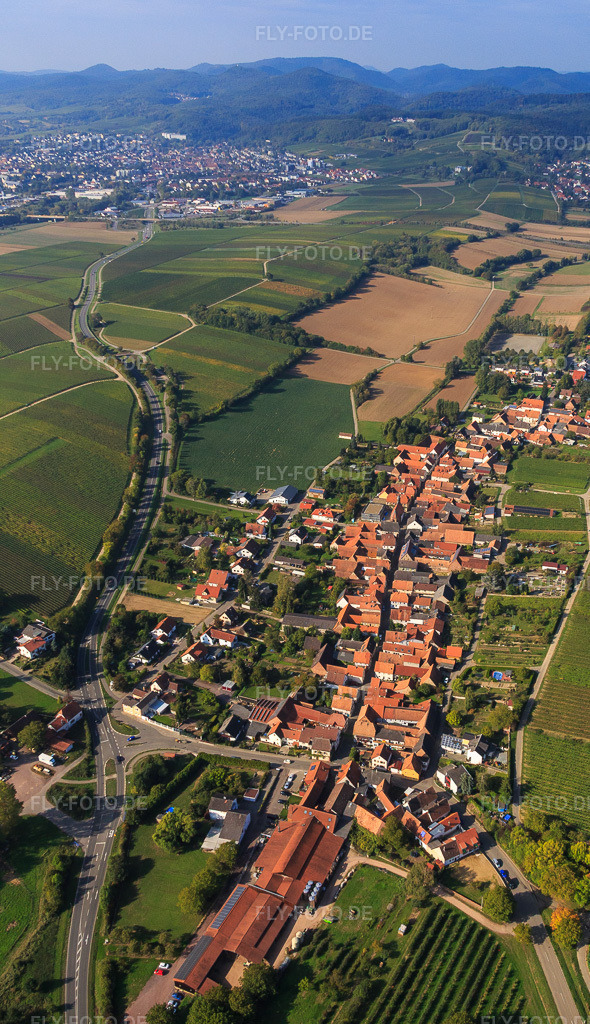 Luftbild: Dorfansicht aus Osten in Niederhorbach im Bundesland Rheinland-Pfalz in Deutschland. Foto: IMG_084486.jpg vom 03.10.2015 durch Werner Riehm/FLY-FOTO.de