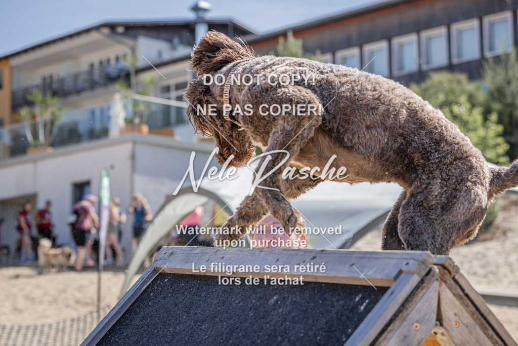 nelerasche_saBeachility_359 | nelerasche