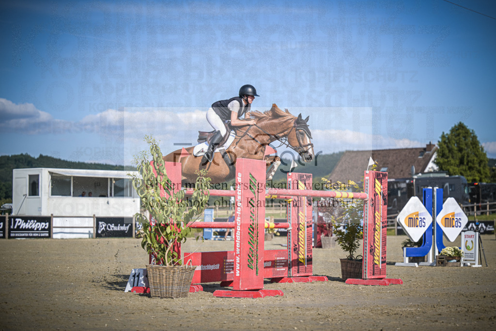 DOS_1423 | Entdecke hochwertige Reitturnierfotos von Foto Oger. Professionell, emotional und authentisch – jetzt Lieblingsmomente im Shop bestellen.Deutschlandweite Turnierfotografie. - Realisiert mit Pictrs.com