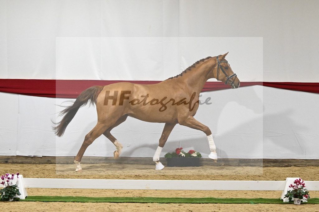 Kat-Nr. 52 v. Vivino_ZG Syha u Winkler_63221449 | hf-fotografie - Realizzato con Pictrs.com