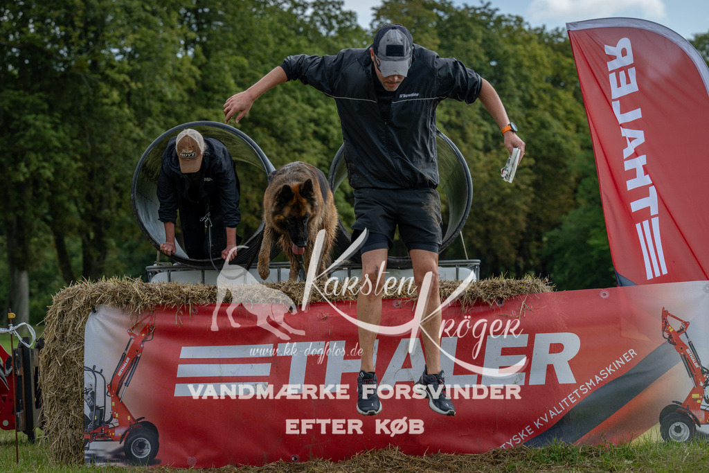 0945_ZZ91074 | kk-dogfotos