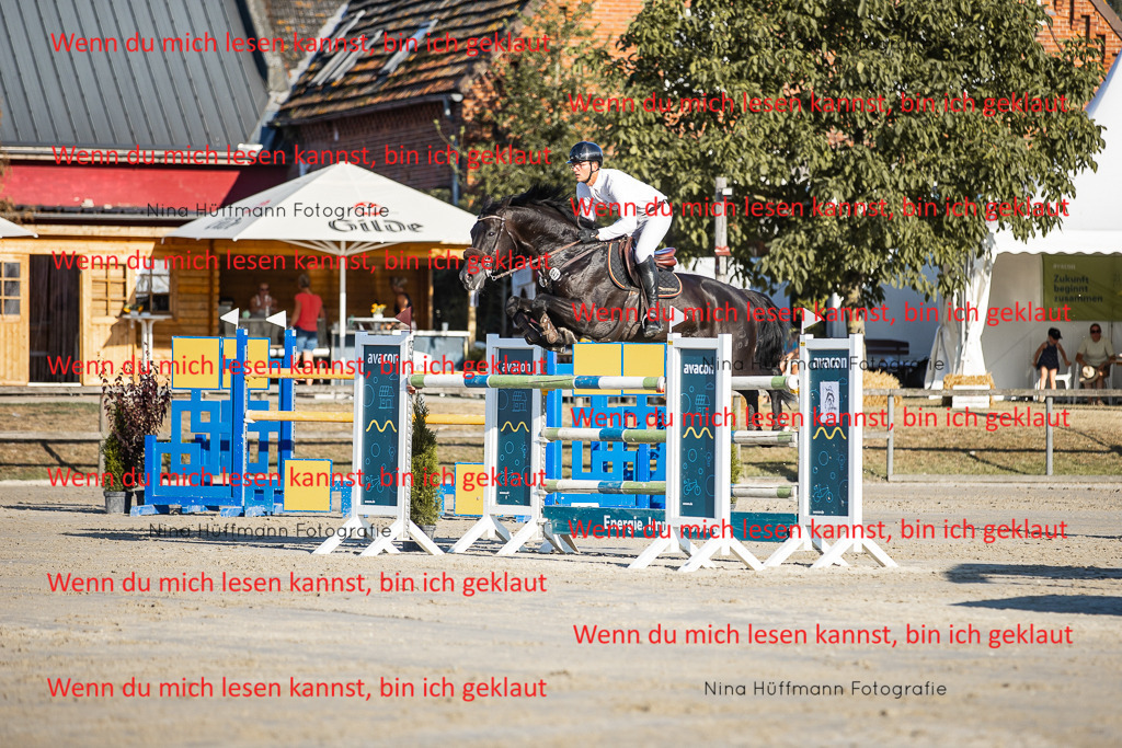 BK1A8790 | Turnierbilder Turnierfotos Nina Hüffmann Turnierfotografie Pferdefotografie Tierzeichnung Haustierzeichnung Pferdezeichnung Hundezeichnung Videograf  - Realisiert mit Pictrs.com