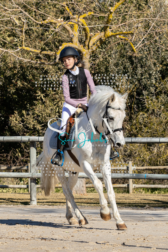 IMG_8551 | s-jay-photography - Realisiert mit Pictrs.com