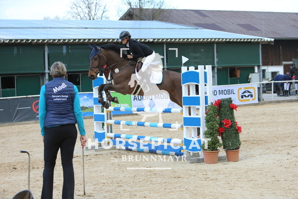 DL2Q9645 | Willkommen bei Brunnmayr - Design & Fotografie – Ihrem Spezialisten für Reitturniere und Pferdeveranstaltungen in Oberösterreich, Salzburg und Bayern! Seit über 17 Jahren sind wir leidenschaftlich dabei.