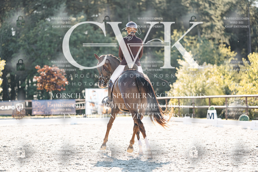 CK906569 | Turnierfotografie Pferdefotografie Trier Rheinland-Pfalz Pferdesport Reitsport Tierfotografie Sportfotografie Pferdevideo Pferdevideografie Equestrianvideography equestrianphotography  - Realisiert mit Pictrs.com